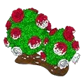 Painted Rose Bush