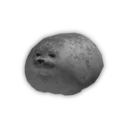 Chonky Seal
