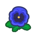 blue pansies