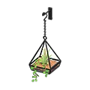 hanging terrarium
