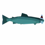 Santa Salmon