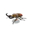 rainbow stag model