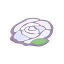 white rose rug