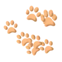 Paw prints