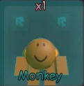 Monkey