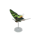 M. sunset moth model