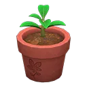 Paradise Planning planter