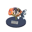 ranchu goldfish model
