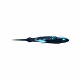 Profane Ray