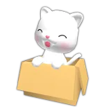 Box Cat