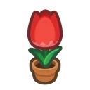red-tulip plant