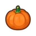 orange pumpkin