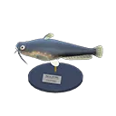 catfish model