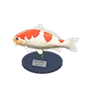 koi model