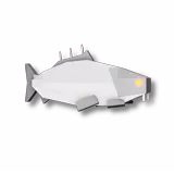 Candle Carp