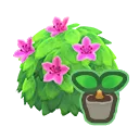 pink-azalea start