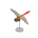red dragonfly model