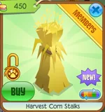 Harvest Corn Stalks