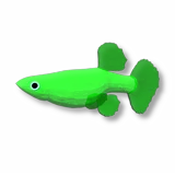 Gummy Guppy