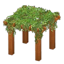 pergola