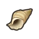conch