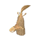 acanthostega