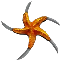 Starfish Shuriken