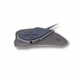Gravestone Stingray