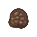 rare mushroom