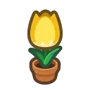 yellow-tulip plant
