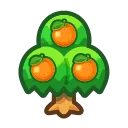 orange tree