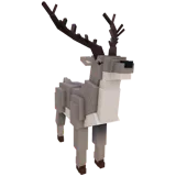 Reindeer