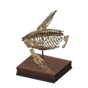plesio torso