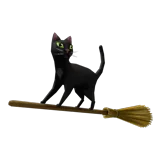 Magic Broom Cat