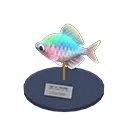 bitterling model