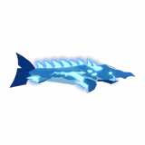 Glacial Sturgeon