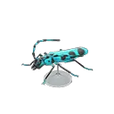 rosalia batesi beetle model