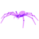 Spectral Spider