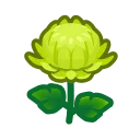 green mums