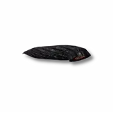 Licorice Leech