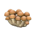 mush partition