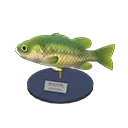 black bass model