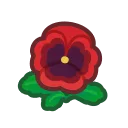 red pansies