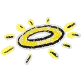 Shining Halo
