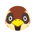 Sparro