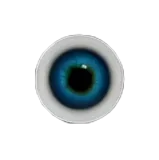 Six Eyes