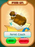 Pet Ferret Bundle