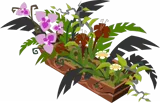 Coral Corner Items