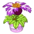 Bellacourt Blooming Flower