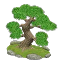 pine tree